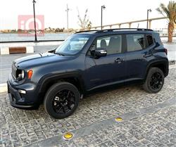 جيب رينيجيد